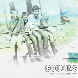 Cool Cousins