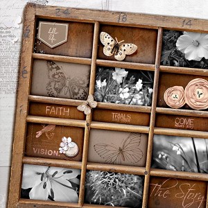 Butterfly Box.