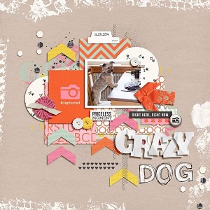 Crazy Dog