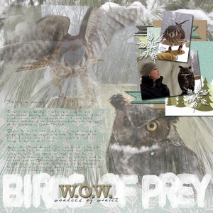 Birds of Prey