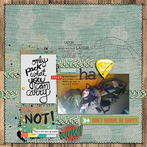 Pack What You Can Carry