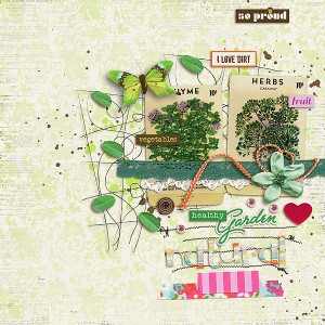 Natural Garden