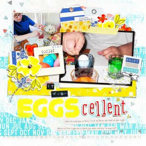 Eggs-cellent