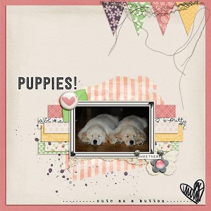 Puppies!