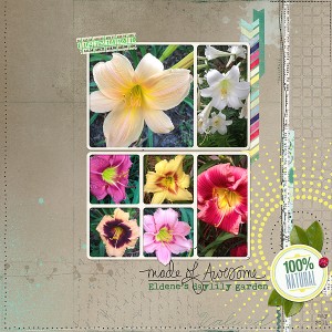 Daylily Garden