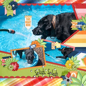 Splish Splash