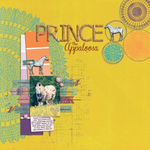 Prince the Appaloosa