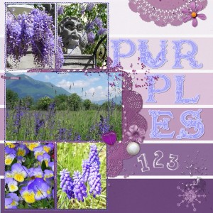 purples