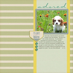 adored