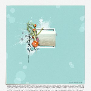 Splash