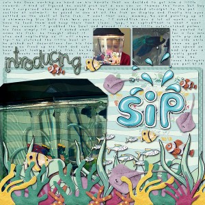 Introducing Sip