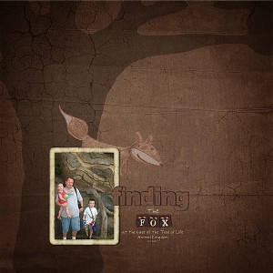 Finding the Fox