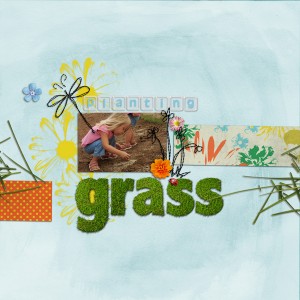 Planting Grass