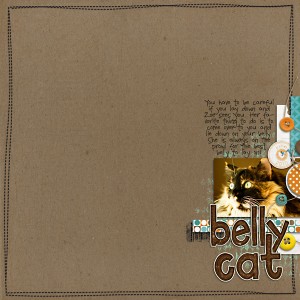 Belly Cat