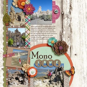 Mono Lake
