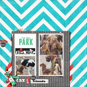 The Dog Park
