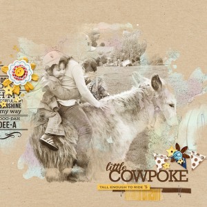 Little cowpoke