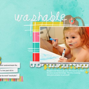 Washable