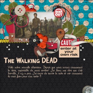 Walkind Dead Obsession