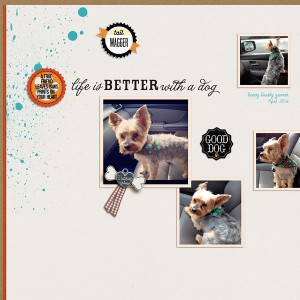 Life is Better with a Dog