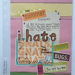 i hate gnats!