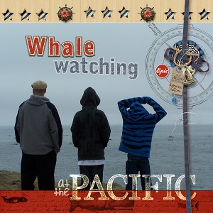 Whale Watching at the Pacific