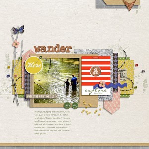 Wander-and-Explore