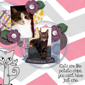 Kitty Chips