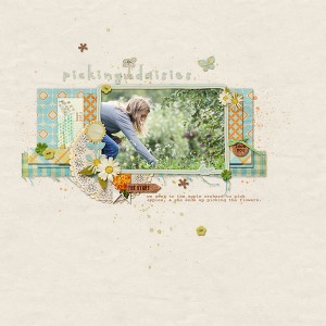 Picking Daisies