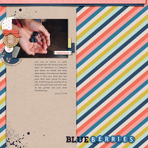 blueberries