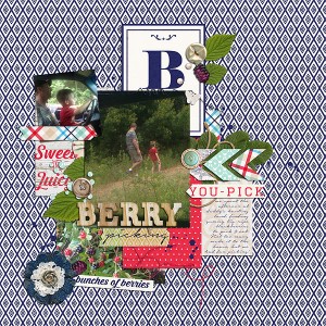 Berry Picking
