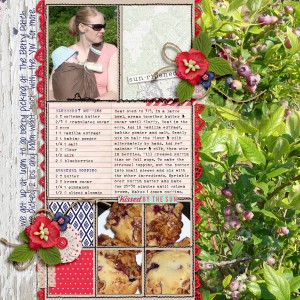 Blueberry Picking-RIGHT