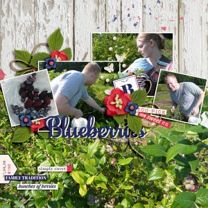 Blueberry Picking-LEFT