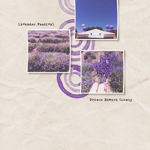 Lavender Festival