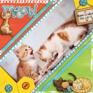 Cats story :)