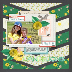 Dandelions