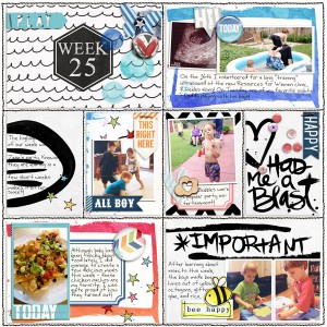 Week 25 2014