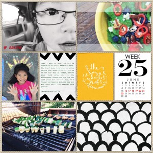 PL 2014 Week 25b