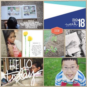 PL 2014 Week 18b