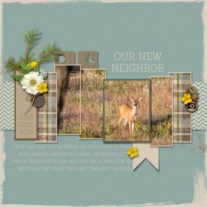 New Neighbor