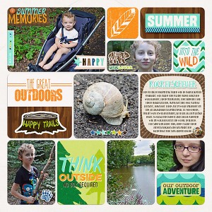 The Great Outdoors I
