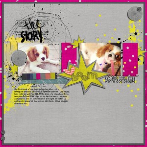 Boom - dog people