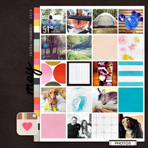Insta-grammed 2014 (May pg. 1)