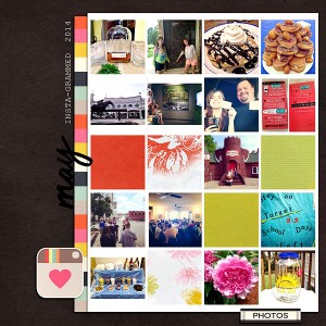 Insta-grammed 2014 (May pg. 2)
