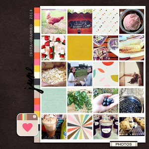 Insta-grammed 2014 (June  pg. 1)