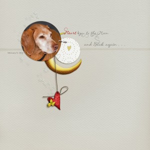 heart you to the moon