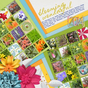 Blooming Wonderful