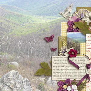 Mara's Place