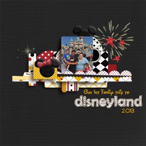 1st Family trip to Disneyland