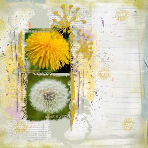 Dandelion Summer